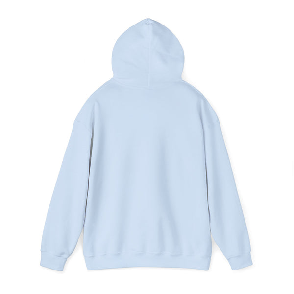 Fitness hoodie,  Gym  heavy blend hoodie with Kangaroo pocket, full colour, 6 colours, 50% Cotton and 50% Polyester.
