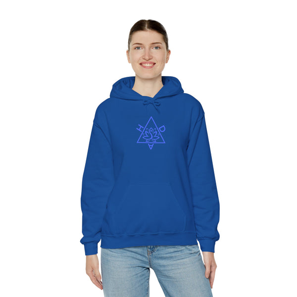 HDA  Hoodie, Fitness Vibes Hoodie, Quality Hoodie with Kangaroo Pocket, 7 colours, different sizes, AU post.
