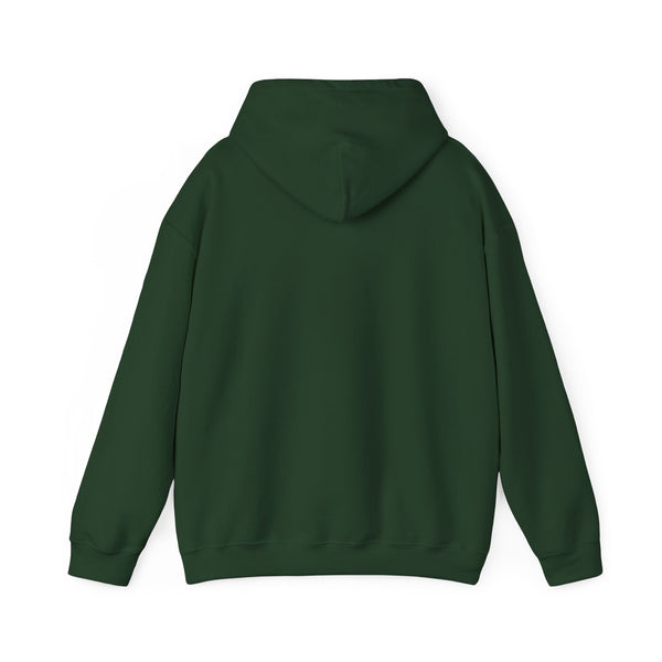 Fitness Hoodie, Gym Hoodie, Quality Hooded Sweatshirt with Kangaroo pocket, 3 colours, AU Post.