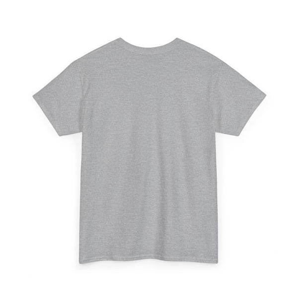 Gym T-shirt, Fitness T-shirt, Top quality cotton, 4 colours, different sizes, AU post.
