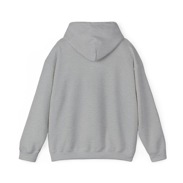 Fitness Hoodie, Gym Hoodie, Quality Hooded Sweatshirt with Kangaroo pocket, 3 colours, AU Post.